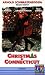 DVD : Christmas in Connecticut