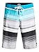 Quiksilver Mens Everyday Stripe 21 Boardshorts