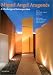 Book Miguel Angel Aragones: A Challenge of Introspection