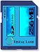 Visual Land SD Card 256MB VL-220 Image