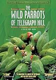 DVD : The Wild Parrots of Telegraph Hill (Special Two-Disc Collector's Edition)