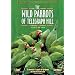 The Wild Parrots of Telegraph Hill (Special 2-disc Collector's Edition)