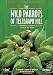 The Wild Parrots of Telegraph Hill (Special Two-Disc Collector