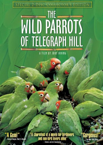 The Wild Parrots of Telegraph Hill (Special Two-Disc Collector's Edition)