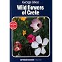 Wild Flowers of Crete (Nature of Crete)
