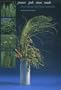 Grasses, Pods, Vines, Weeds: Decorating with Texas Naturals