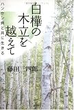 白樺の木立を越えて―ハンセン病と共に生きる