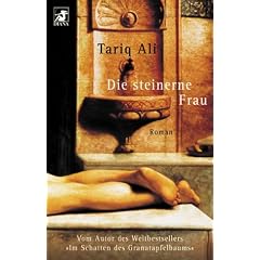 Die steinerne Frau: Roman