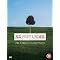 The TV DVD Guide (The Wire, X-FIles, Six Feet Under & Curb)