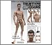 Hot Toys TrueType Male Body TTM-19 Muscular Caucasian Version 12" Figure_s-1