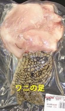 ワニの手【豪州産】1本（約170-270g）冷凍パック
