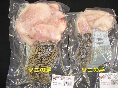 ワニの手【豪州産】1本（約170-270g）冷凍パック