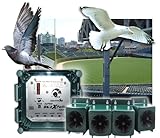 BirdX Peller