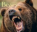 Bears 2008 (Calendar)