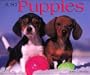 Just Puppies