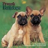 French Bulldogs 2009 Wall Calendar 12 X 12