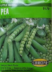 Little Marvel Pea Seeds