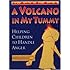 A Volcano in My Tummy: Helping Children to Handle Anger: A Resource Book for Parents, Caregivers and Teachers