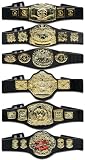 511XrZEiWIL. SL160  WWE Wrestling Toy ACTION FIGURE BELT 6 PIECE Assortment by Jakks