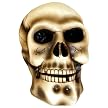 Solar White Spooky Skull