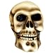 Solar White Spooky Skull