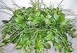 Mixed Artificial Greenery Basket