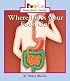 Where Does Your Food Go (Rookie Read-About Health)