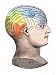 Phrenology Model of the Locations of the Various Organs of Mind in the Human Head Gic...