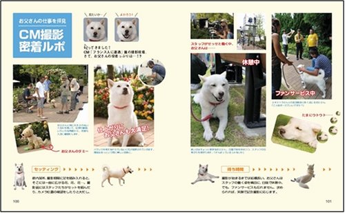 Cover image : 白戸家のお父さんのヒミツ ソフトバンク家族CMのファンブック！