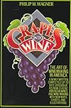 Grapes into Wine
