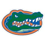Florida Gators Small Magnet