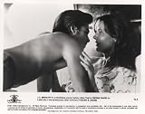 Thelma & Louise - Brad Pitt - Movie Photo Print