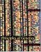 Book Principles of Genetics w/Genetics: From Genes to Genomes CD-ROM and Website Password Card