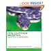 Perl to Python Migration (Practical Solutions Series)