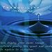 Tranquility - Silence Follows Rain
