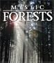 Mystic Forest [HD DVD]