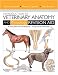 Introduction to Veterinary Anatomy and Physiology Revision Aid Package: Workbook and Flashcards