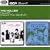 The Hollies/Would You Believe?