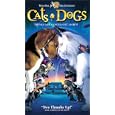 Buy Cats and Dogs