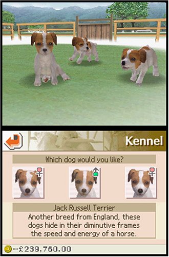 Nintendogs Dalmatian & Friends (Nintendo DS)