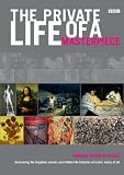 The Private Life of a Masterpiece: Uncovering the Forgotten Secrets and Hidden Life Histories of Iconic Works of Art