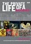 The Private Life of a Masterpiece: Uncovering the Forgotten Secrets and Hidden Life Histories of Iconic Works of Art