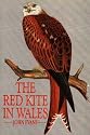 The Red Kite in Wales