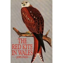 The Red Kite in Wales