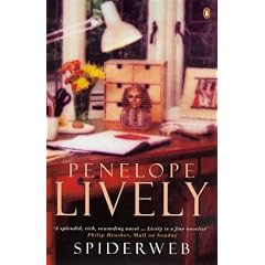 Spiderweb