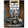 Nature: Koko - A Conversation With Koko