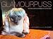 Glamourpuss: The Enchanting World of Kitty Wigs