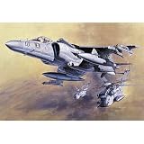 1/48 AV-8B ハリアーII プラス #PT28