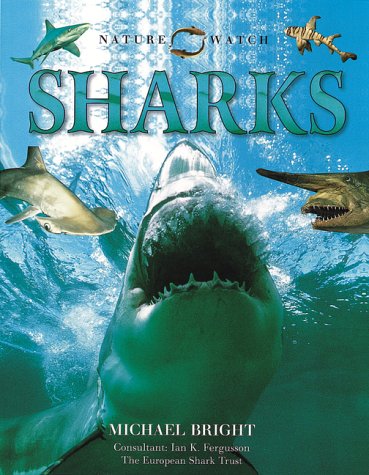 Sharks (Nature Watch (Lorenz))