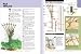 Image: Shopper's Delight: Outdoor & Recreational Areas in The Books Store ~ Trellises, Arbors & Pergolas: Ideas And Plans For Garden Structures (Better Homes & Gardens)